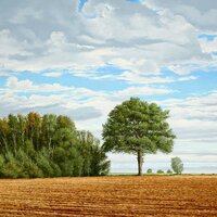 Paysage de France