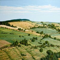 Les prairies de la Bussières, huile sur bois, 83x122cm, 1999