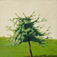 Petit Pommier, huile sur toile, 1971