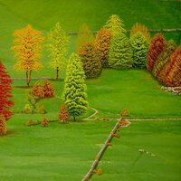 Au creux de la combe de la Varenne, huile sur toile, 85x115cm, 1971