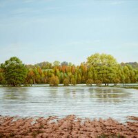 Inondations à Taponas, huile sur toile, 97x146cm, 2005
