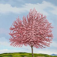 Prunus, (aux Ardillats) , huile sur bois, 76x120cm, 2017