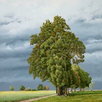Coup de soleil dans l'orage, huile sur toile, 114x146cm, 2002