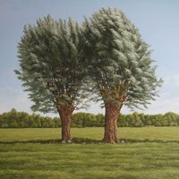 couple d'arbres