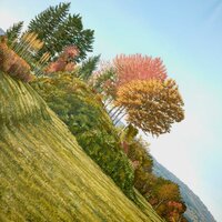 Le tumulus des Ardillats, huile sur toile, 150x150cm, 2004