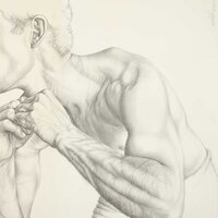 Mathias biceps, 2007, crayon sur papier, 65x91